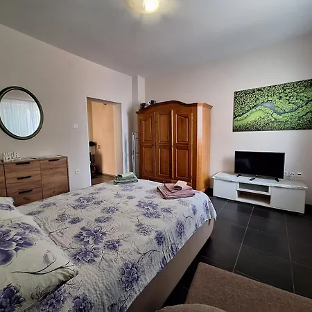 Ana Apartment *